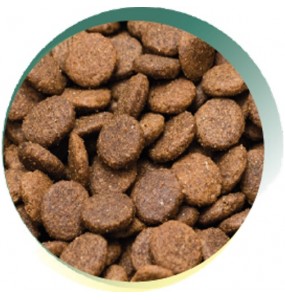 best grain free puppy food uk